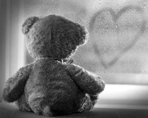 Teddybär von hinten in einem Fenster schwarz-weiss als Symbol für eine Fehlgeburt